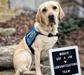 Maggie II | March 2024
