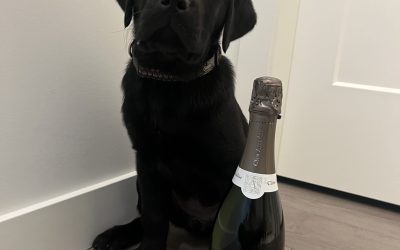 Cava | April 2024
