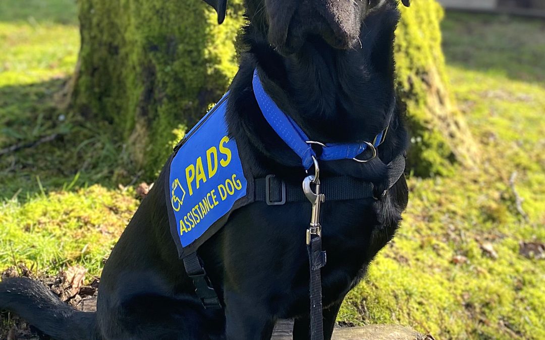 Chet | February 2026