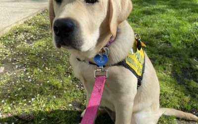 Digby | April 2024