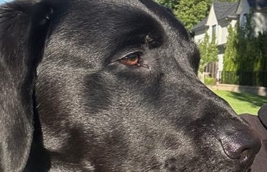 Finian | May 2024