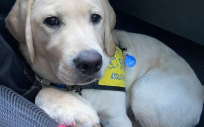 Digby | May 2024