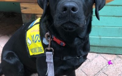 Huckle | June 2024