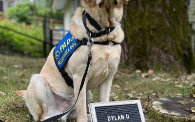 Dylan II | July 2024