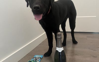 Cava | July 2024