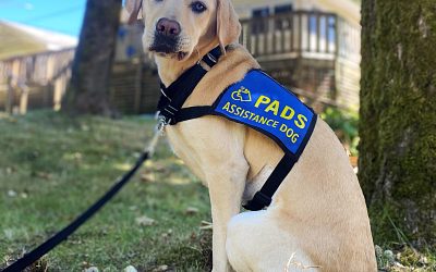 Toffee | August 2025