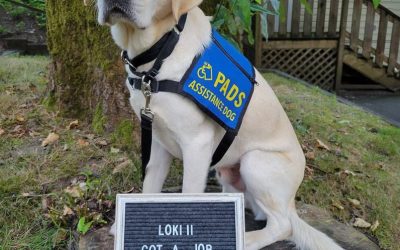 Loki II | July 2024