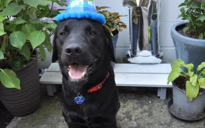 Huckle | July 2024