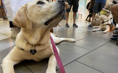 Digby | July 2024