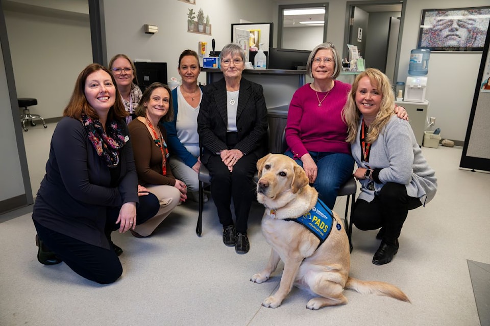 Peace Arch News: Surrey clinic marks 10 years supporting victims of violence