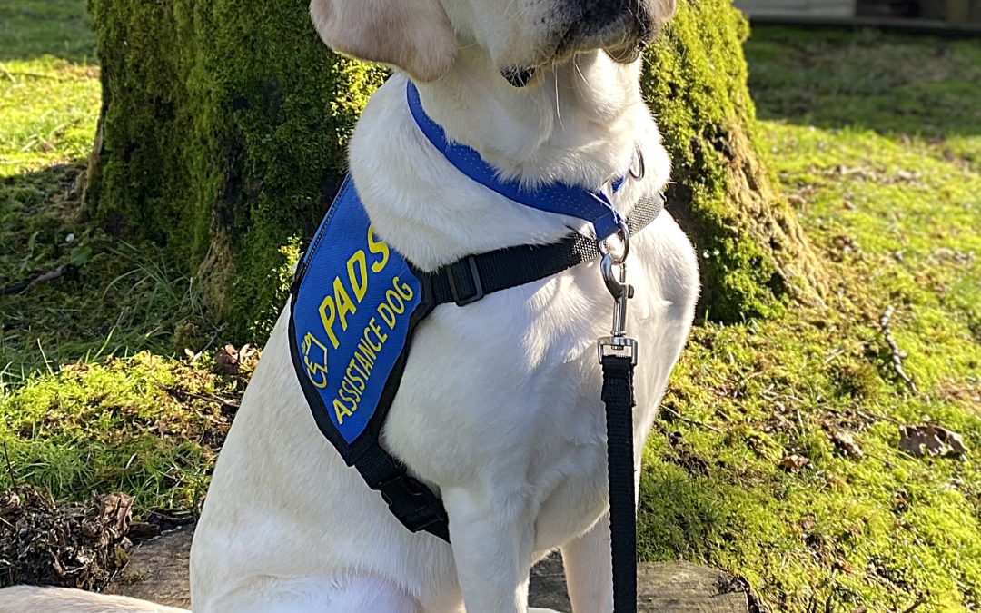 Smaug | February 2026