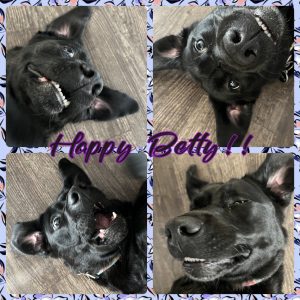 Betty II | November 2024