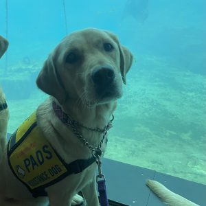Quiche | November 2024