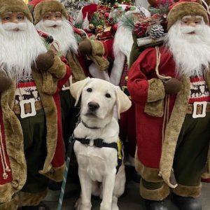 Falkor | December 2024