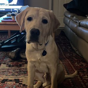 Casey | January 2025