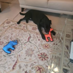 Digger | December 2024