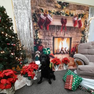 Giorgio | December 2024