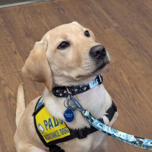 Patty | December 2024