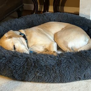 Toffee | December 2024