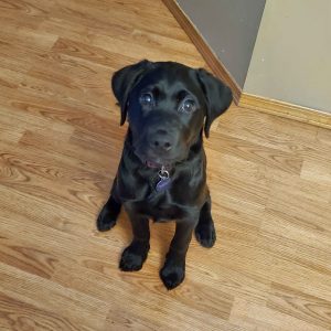 Mabel II | January 2025