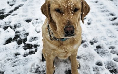 Crumpet | February 2025