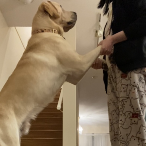 Digby | January 2025