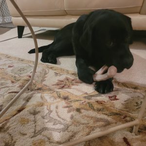 Digger | January 2025