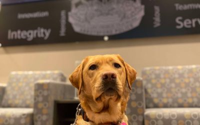 Finch | January 2025