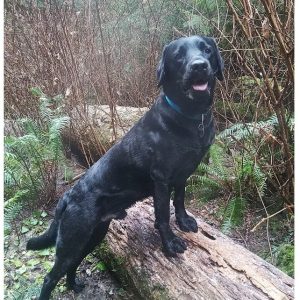 Huckle | January 2025