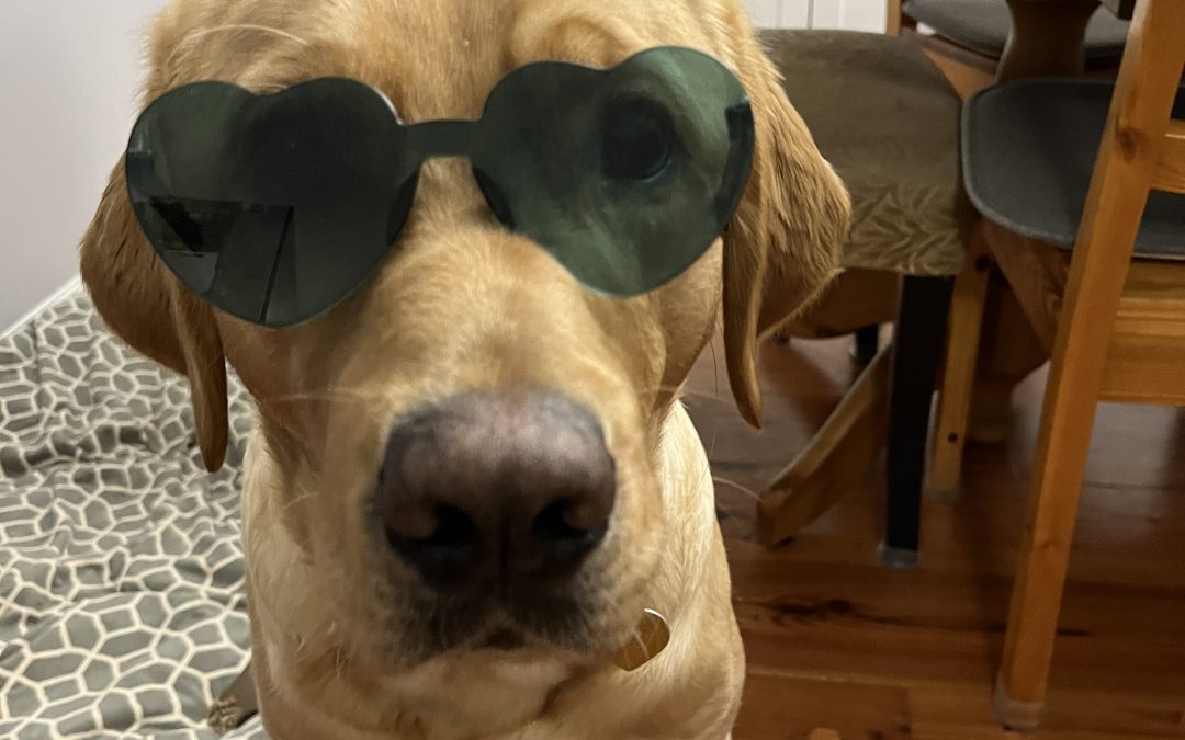 Roku | February 2025