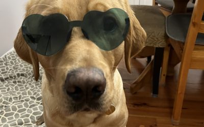 Roku | February 2025