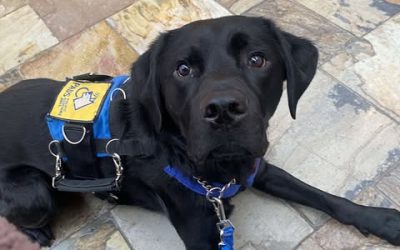 Russell II | January 2025