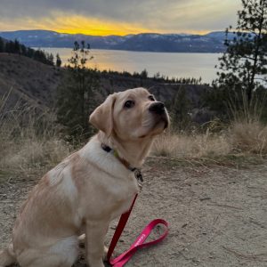 Skaha III | January 2025
