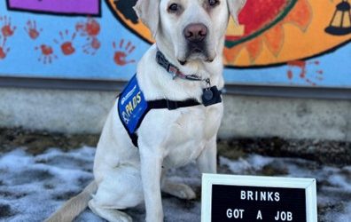 Brinks | March 2025