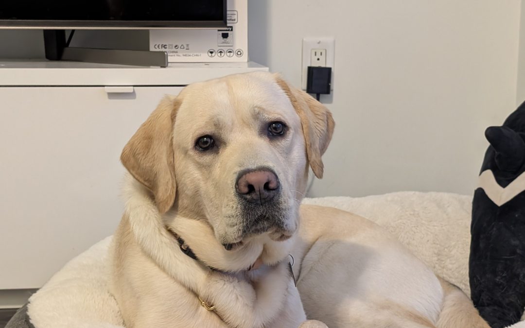 Digby | February 2025