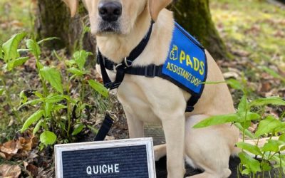 Quiche | March 2025