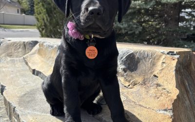 Coola | May 2025