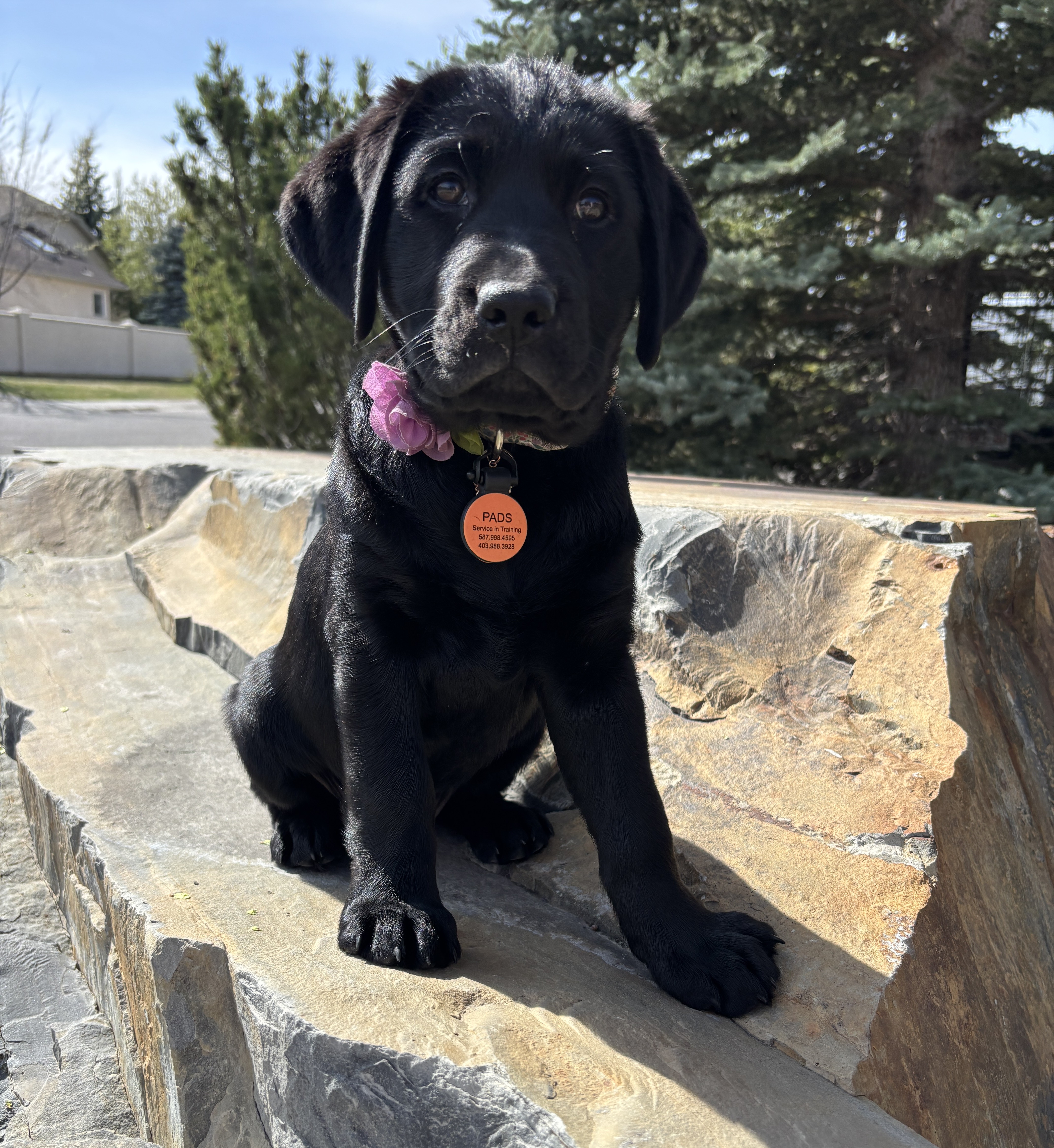 Coola | May 2025