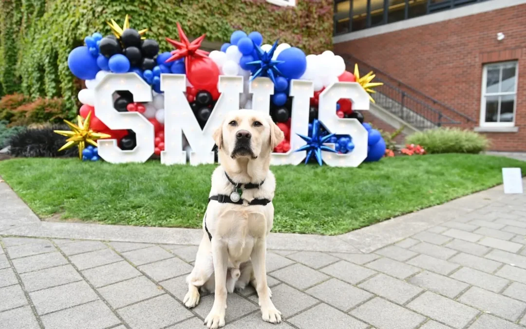 Paws and Effect: Radar’s Impact on Student Well-Being