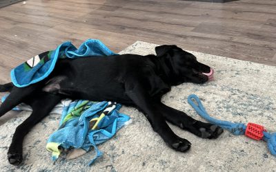 Milos | April 2025