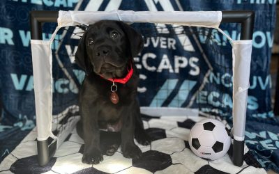 Max | May 2025