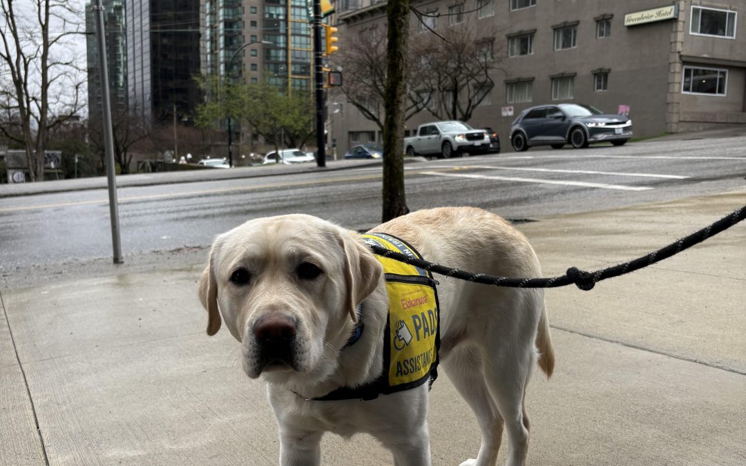 Bumble | March 2025