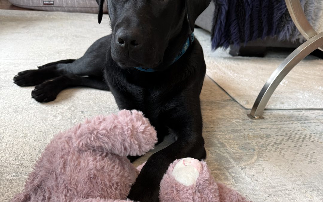 Milos | May 2025