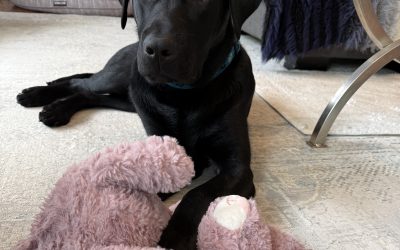 Milos | May 2025