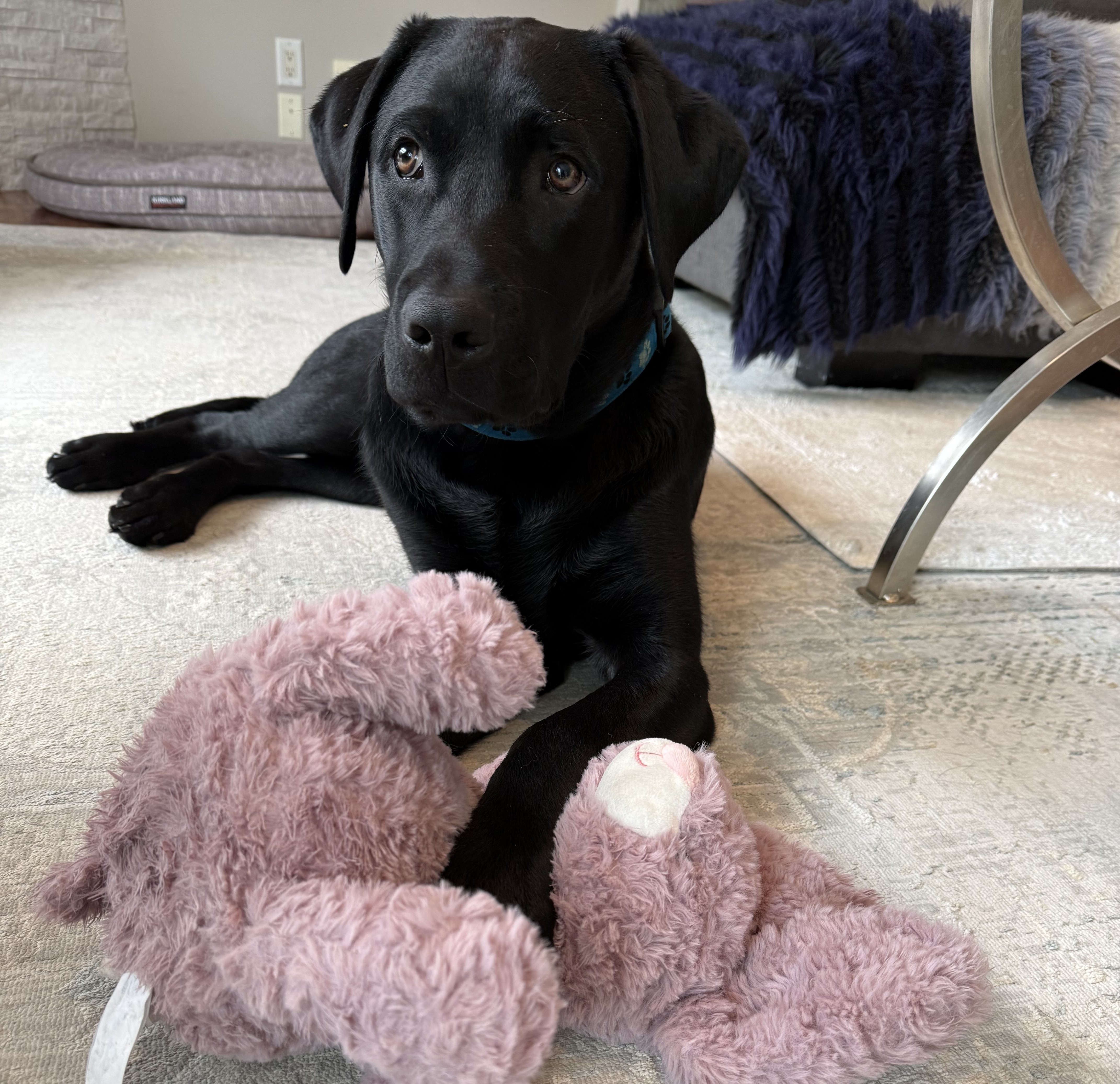 Milos | May 2025