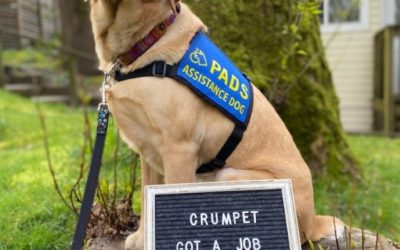 Crumpet | April 2025