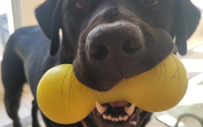 Digger | May 2025