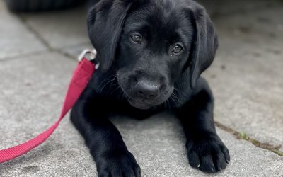 Shyloh | May 2025