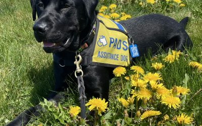 Olé | May 2025