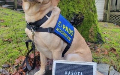 Kasota | April 2025